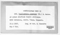 Image Associated With the Occurence